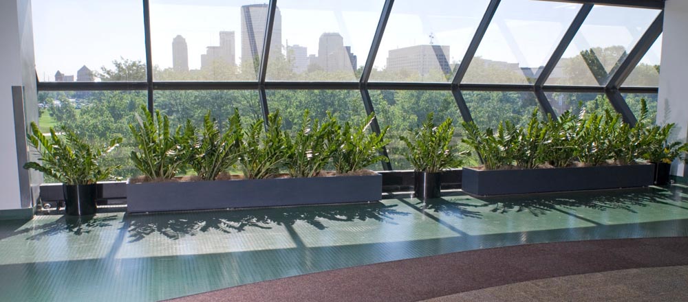 Green plants lining window with city view at IUPUI.