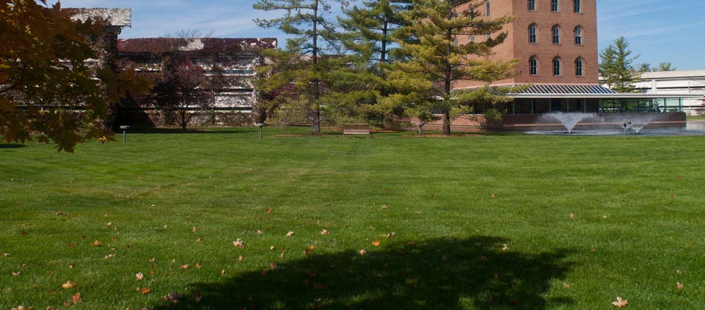 Green grass with trees in front of commercial building. 
