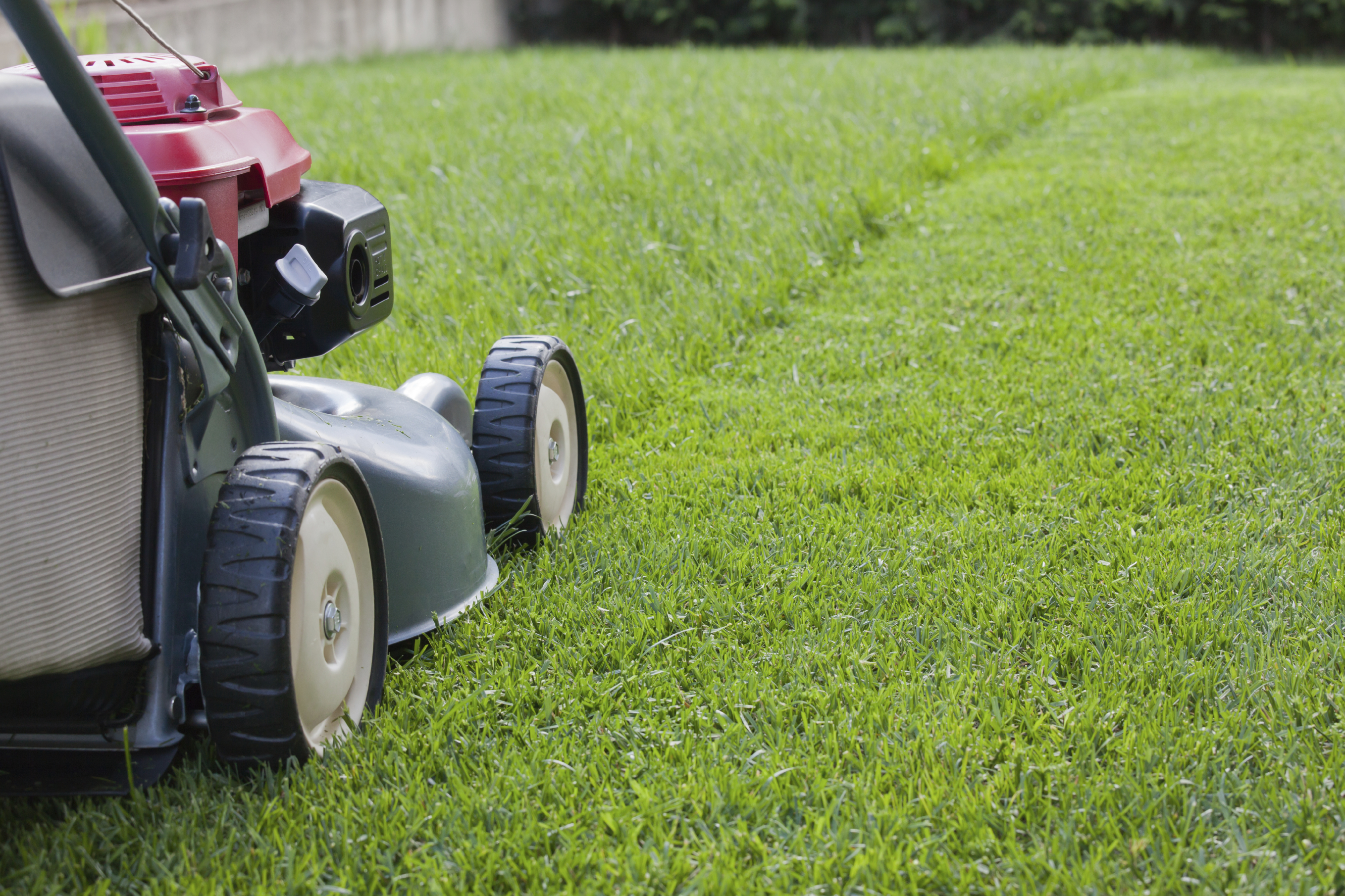 Mowing for a Healthier Lawn - Engledow Group