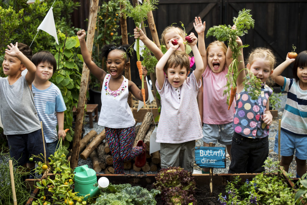Why We Love Community Gardening—and How to Get Involved Engledow Group