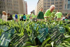 photograph of engledow employees giving away potted plants downtown india
