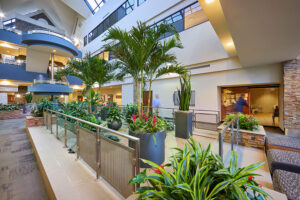 Commercial image